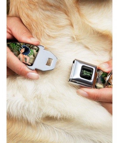 Disney The Jungle Book I Wanna Be Like You Seatbelt Buckle Dog Collar $11.70 Pet Collars